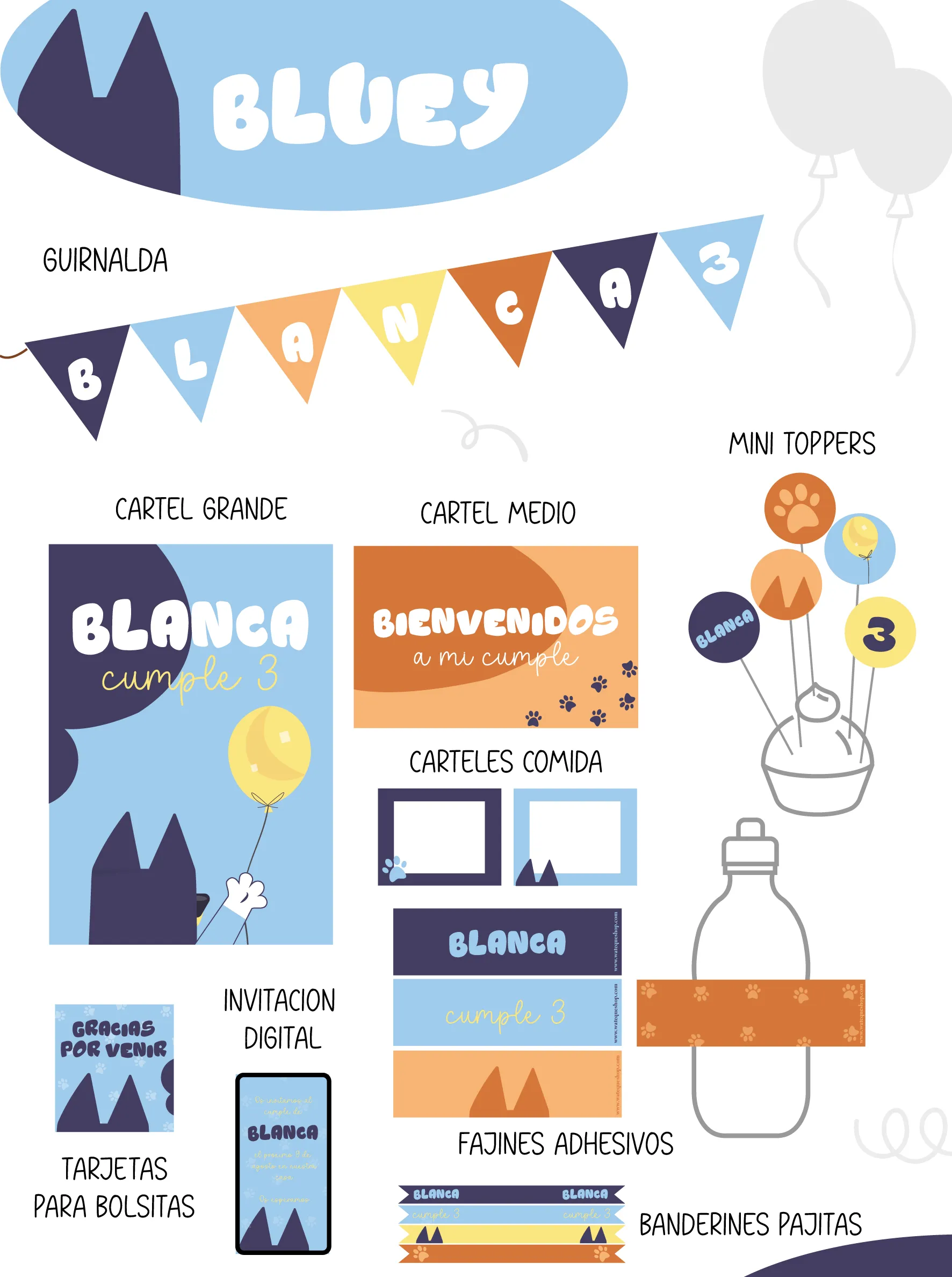 Bluey Party Kit