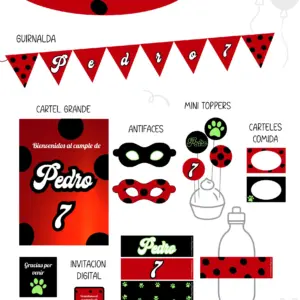 Miraculous Party Kit