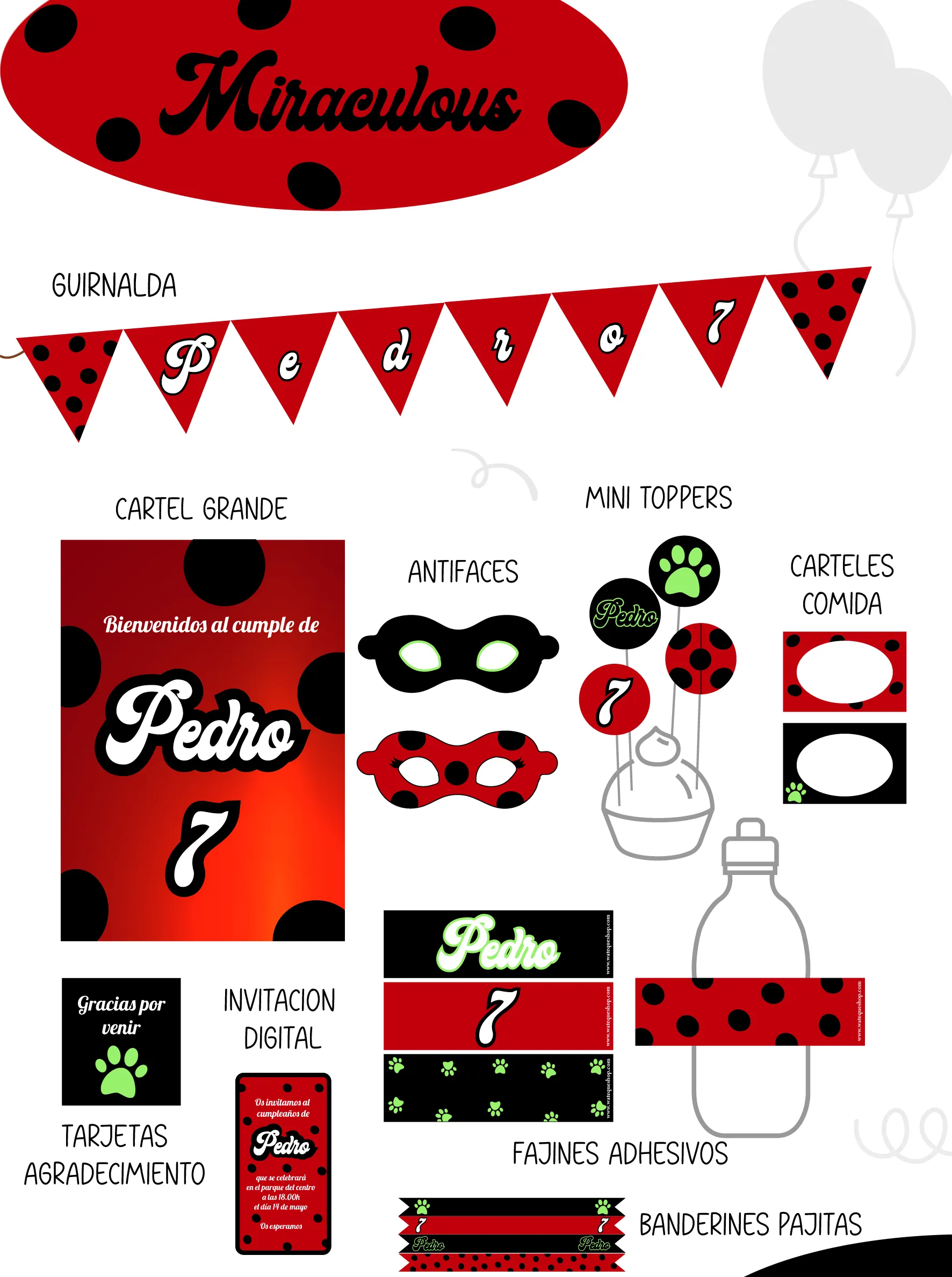 Miraculous Party Kit
