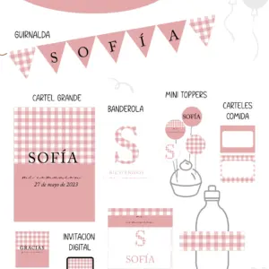 Vichy Rosa Party Kit