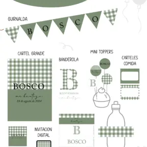 Vichy Verde Party Kit