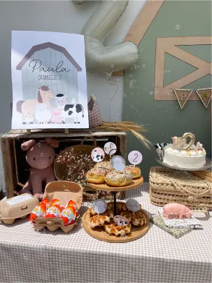 Granja Party Kit - Imagen 2