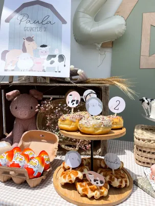 Granja Party Kit - Imagen 5